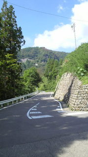 2010010.02白鳥高原 009.jpg