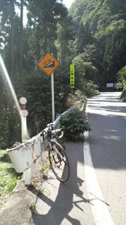 2010010.02白鳥高原 010.jpg