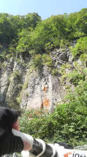 2010010.02白鳥高原 011.jpg