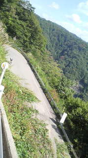2010010.02白鳥高原 012.jpg