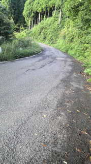 20100929朝練 002.jpg