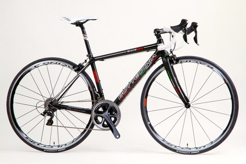 BOTTECCHIA.jpg